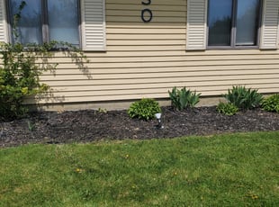 Weeding by Edward Mauler for Dawn T. in Delaware, OH