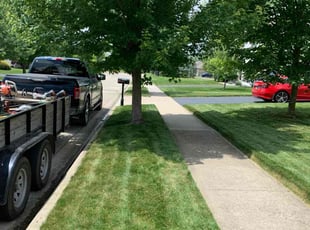Tawanda L.'s Lawn Care service result