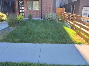 Anita W.'s Lawn Care service result