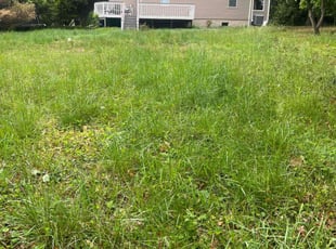 Bush Trimming by Dimas Lopez for Jennifer P. in Towson, MD