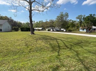Elaine E.'s Lawn Care service result