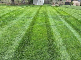 Max L.'s Lawn Service service result