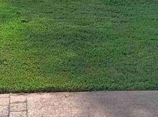 Jo Ann C.'s Lawn Service service result