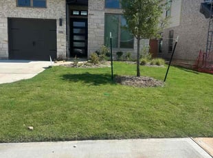 Shay S.'s Lawn Mowing service result