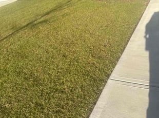 William S.'s Lawn Maintenance service result