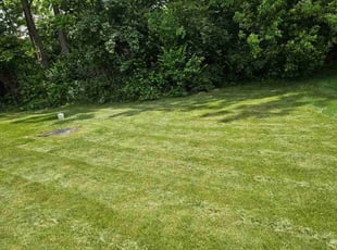 Daniil o.'s Lawn Mowing service result