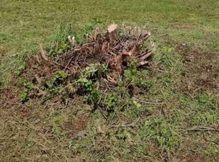 Cleanups by Megan Cabrera for Kim K. in Wichita Falls, TX