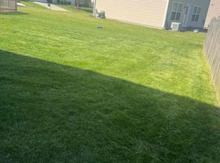 Marci T.'s Lawn Mowing service result