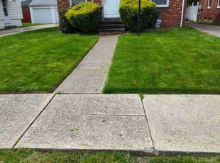 Bush Trimming by Rayshawn Martin for Ericka, D. in Cleveland, OH