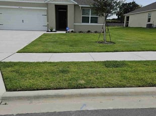 Tyler E.'s Lawn Maintenance service result
