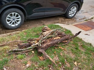 Cleanups by Kevin Rhyne for David S. in Madison, WI