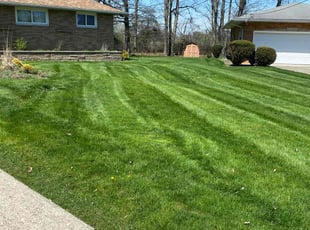 Shannon F.'s Lawn Mowing service result
