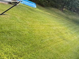 Jen H.'s Lawn Service service result