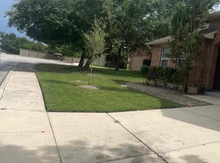 Mae W.'s Lawn Service service result