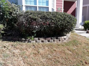 Bush Trimming by Miguel Perez for Sharena R. in Aubrey, TX
