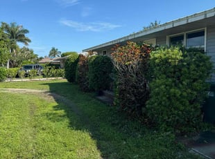 Bush Trimming by David Scheafnocker for Don K. in Naples, FL