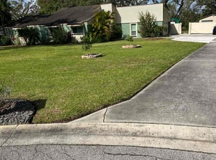 Stacee M.'s Lawn Mowing Service service result