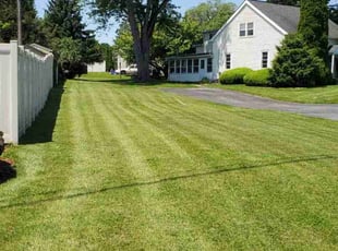 Connie D.'s Yard Cutting service result