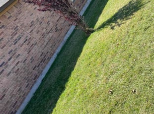 LaTonya B.'s Lawn Mowing service result