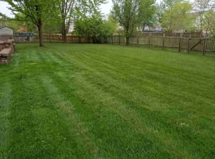 Carol W.'s Lawn Mowing service result