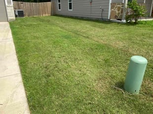 Cedrick h.'s Lawn Care service result