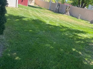 Felipe C.'s Grass Cutting service result
