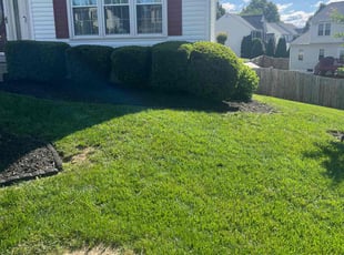 Bush Trimming by Gilbert Osorio for Debra J. in Stafford, VA