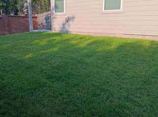 Patricia C.'s Lawn Mowing service result