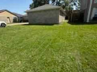 David D.'s Yard Cutting service result