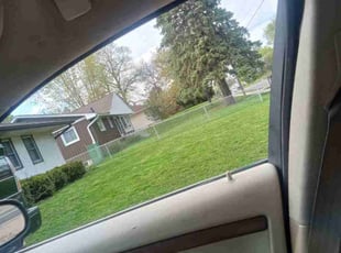 Tom M.'s Lawn Mowing service result