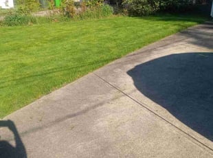 Robert G.'s Lawn Mowing Service service result