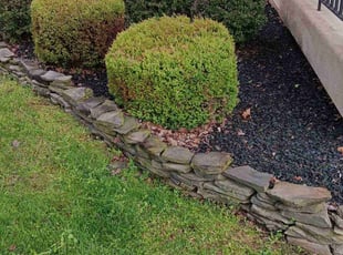 Weeding by Jose Murcia for Clayton J. in Manassas, VA