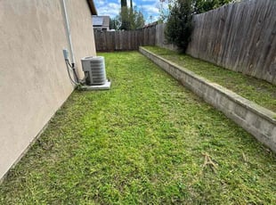 Alisha W.'s Grass Cutting service result