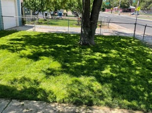 Yasmin S.'s Lawn Mowing Service service result