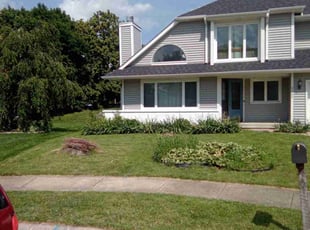 Alina B.'s Lawn Service service result
