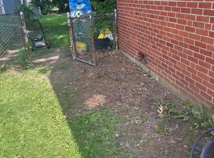 Cleanups by Jay Robbe for Heather W. in Cincinnati, OH