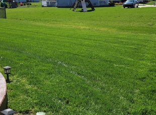 Jordan D.'s Yard Cutting service result