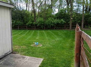 Sandra T.'s Lawn Service service result