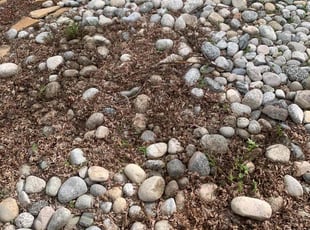 Weeding by Tylon Newcomb for Anita Y. in Aurora, CO