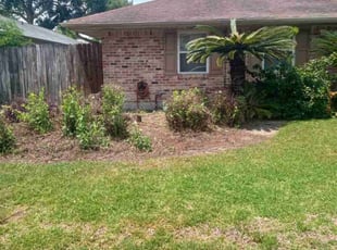 Bush Trimming by Terry Felo for Penny L. in New Orleans, LA