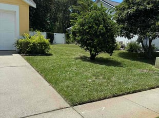 Dominique T.'s Lawn Service service result