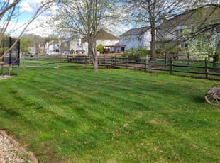 Allen A.'s Lawn Mowing service result