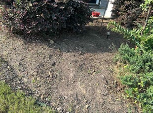 Weeding by Jeff Foster for Trena M. in Charlotte, NC