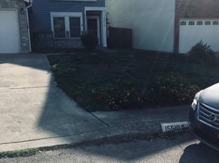 Cleanups by Chaes Pate for Mike G. in San Antonio, TX
