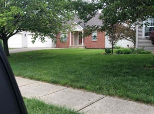 Robbie F.'s Yard Cutting service result