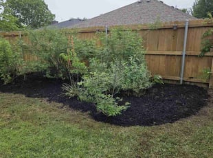 Weeding by Michael Haun for JoAnna K. in Anna, TX