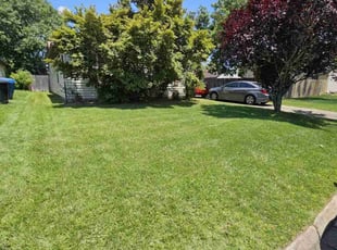 Diane J.'s Lawn Care service result