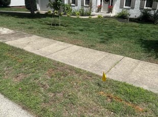 Weeding by Claude Batts for Concetta L. in Huntersville, NC