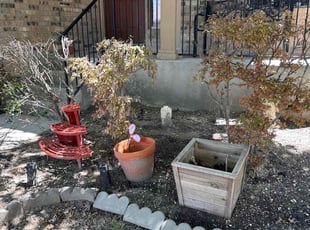Bush Trimming by Stephen Sifuentes for Terri B. in San Antonio, TX