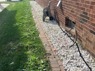 Weeding by Kyle Birmingham for Heather H. in Troy, MI